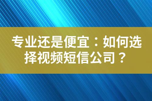 专业还是便宜：如何选择视频短信公司？