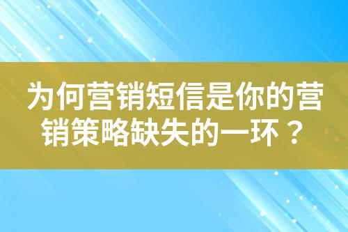 为何营销短信是你的营销策略缺失的一环？