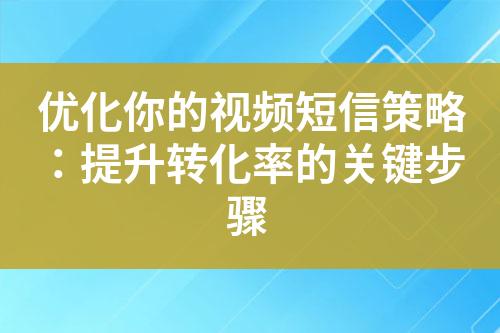 优化你的视频短信策略：提升转化率的关键步骤