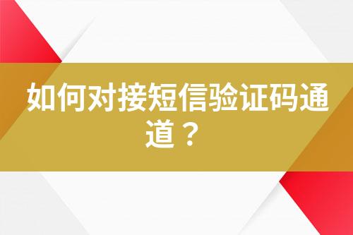 如何对接短信验证码通道？