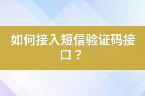 如何接入短信验证码接口？