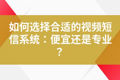 如何选择合适的视频短信系统：便宜还是专业？