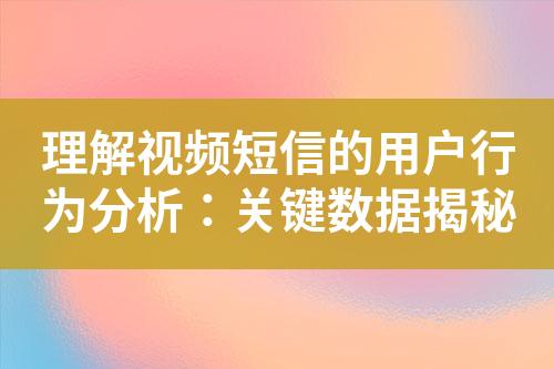 理解视频短信的用户行为分析：关键数据揭秘