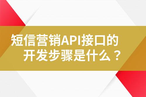 短信营销API接口的开发步骤是什么？