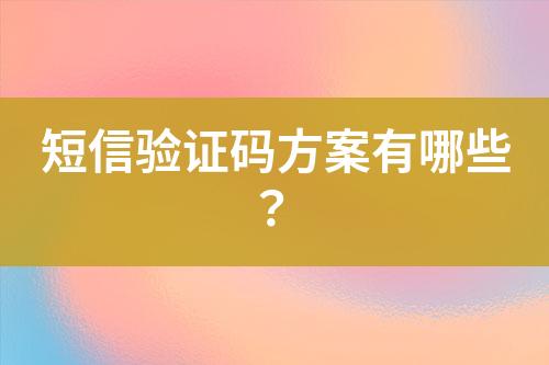 短信验证码方案有哪些？