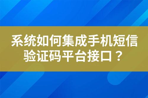 系统如何集成手机短信验证码平台接口？